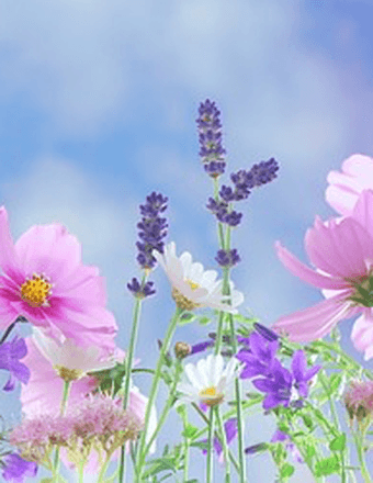 Vilai Dumas Obituary