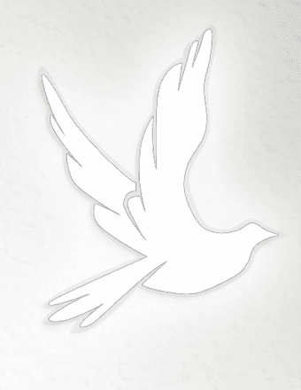Audrey J. Dieter Obituary