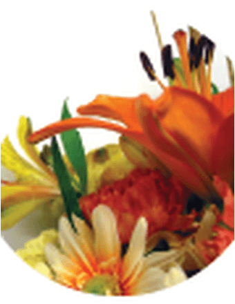 Gayle Louise Rainerson Obituary